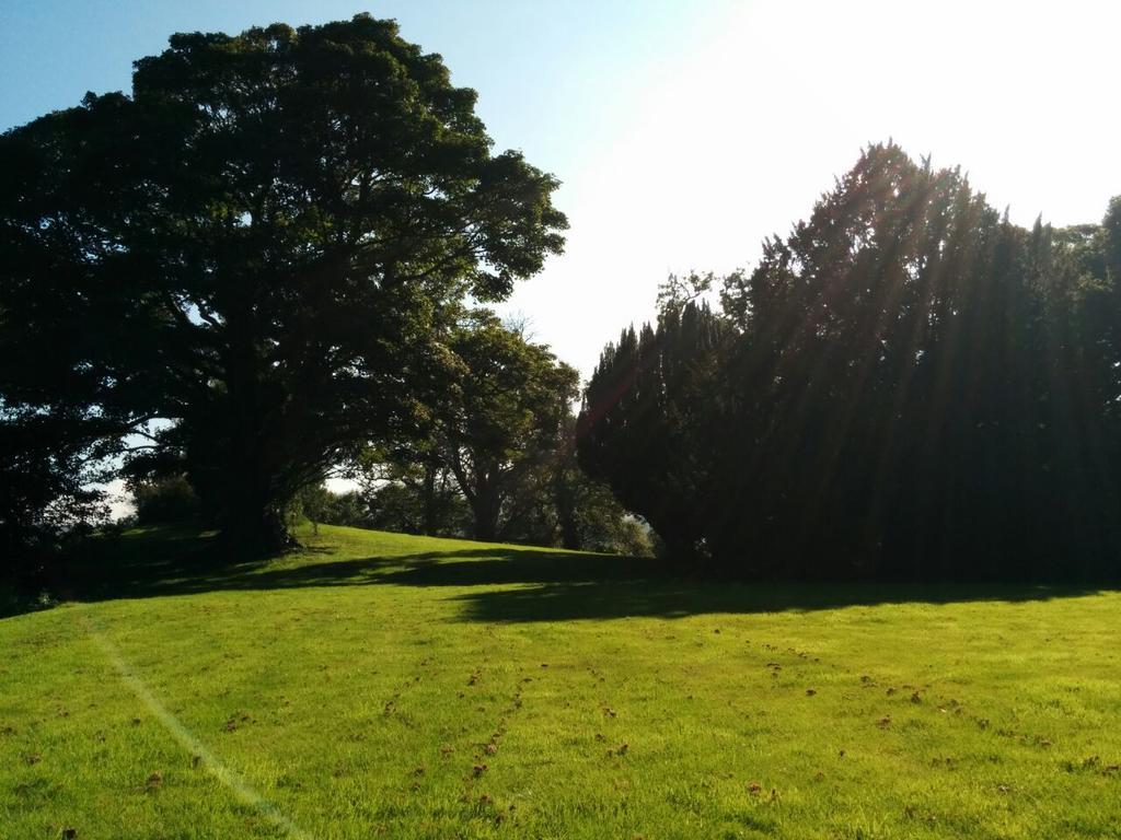 Narrow Water Castle Self Catering Accommodation Warrenpoint Eksteriør bilde